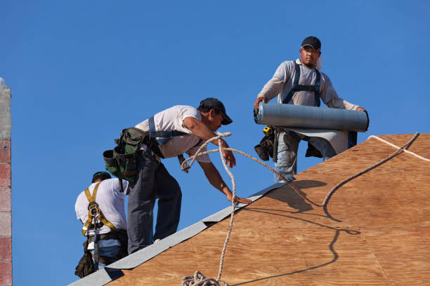 Best Best Roofing Contractors  in Lake Shore, MN