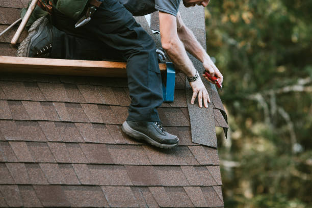 Best Local Roofing Companies  in Lake Shore, MN