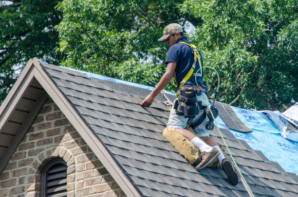 Best Roof Leak Repair  in Lake Shore, MN